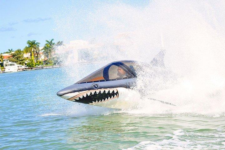 Giro degli squali a Cancun - Seabreacher