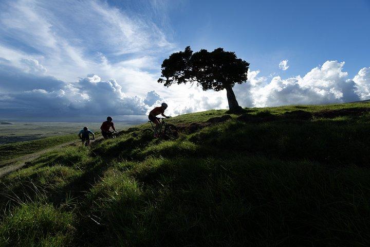 Big Island Mountain Biking on Anna Ranch