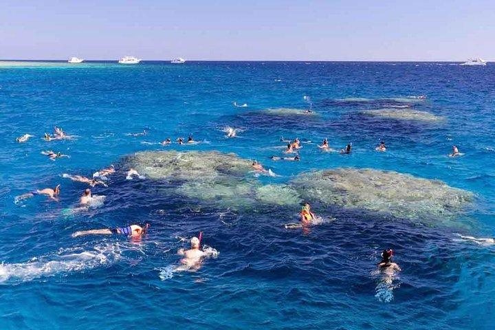 Avventura di snorkeling di un'intera giornata nell'isola di Tiran in barca