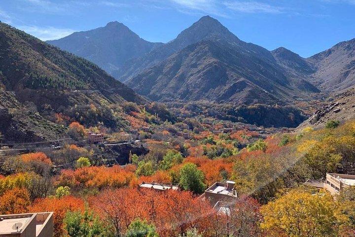 Marrakech: Atlas Mountains, Valleys & Waterfalls Day Trip