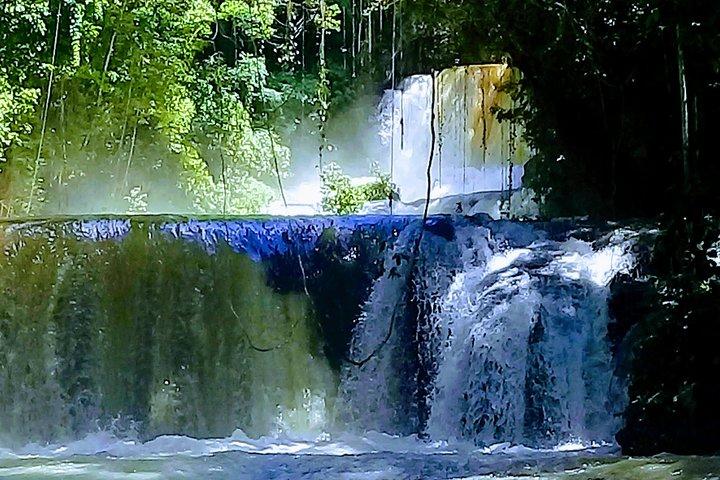 YS Falls & Pelican Bar Tour