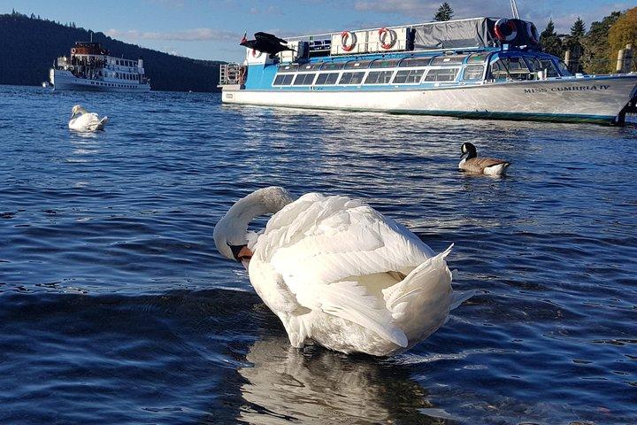 リバプールからの湖水地方アドベンチャー観光日帰り旅行