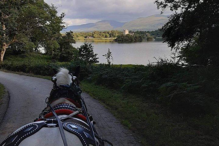 Killarney Nationaal Park Tour