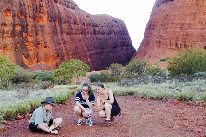Tarde Kata Tjuta Small Group Tour