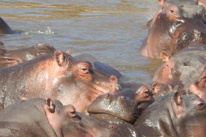 ヘルズゲート国立公園とナイバシャ湖遊覧船日帰りツアー