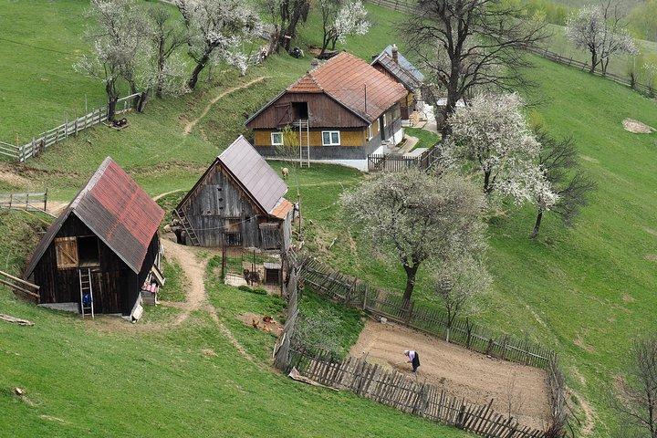 Bynliv i Transylvanian Karpaterna - 8 dagar