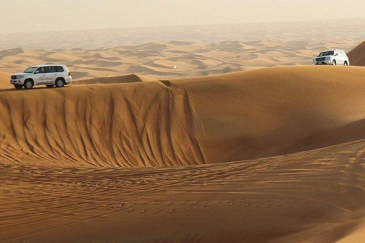 Erstaunliche Abu Dhabi-Abendsafari
