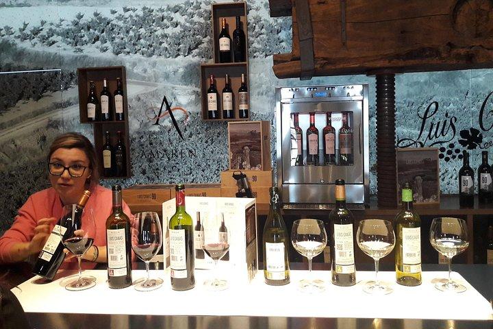 Private Rioja wine tasting tour with local lunch