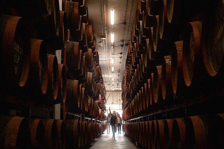 Guided Tour at Ron Arehucas Distillery