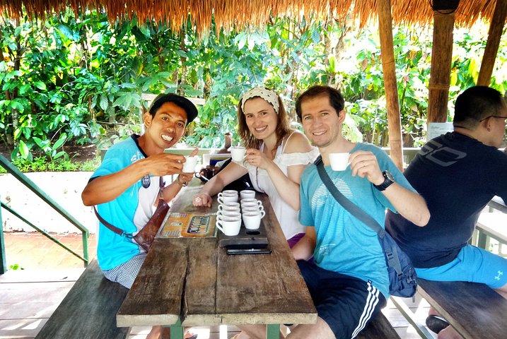 Bali kokosvin og Ubud kaffetur