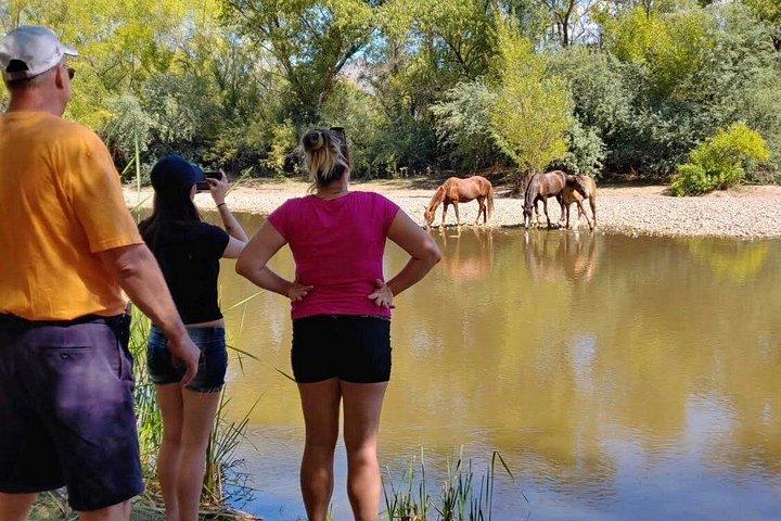 Sonora Desert Jeep Tour