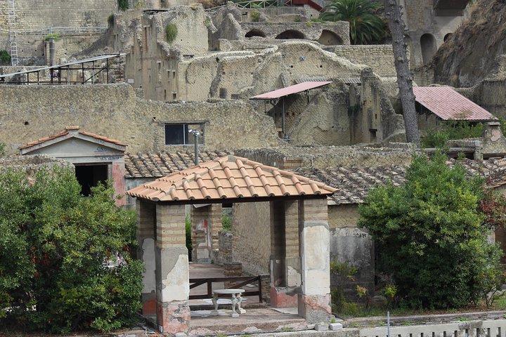 Udgravninger af Herculaneum. Rejseleder og skip-the-line billet