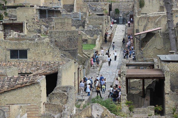 Udgravninger af Herculaneum. Rejseleder og skip-the-line billet