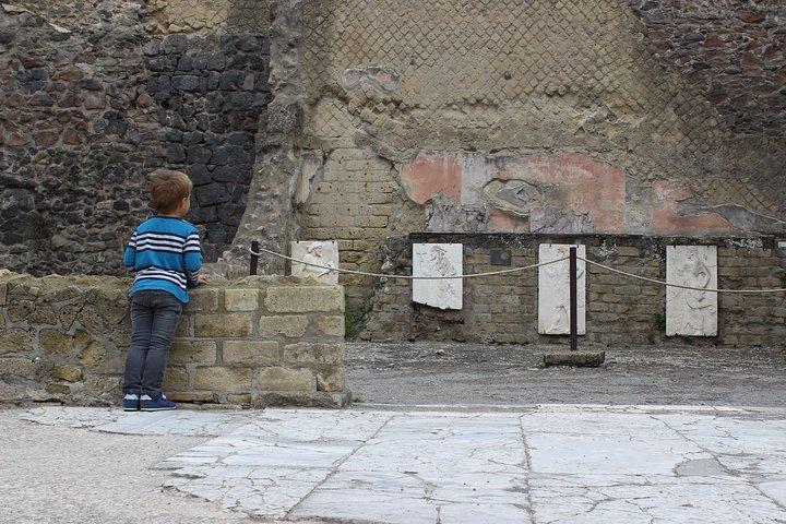 Udgravninger af Herculaneum. Rejseleder og skip-the-line billet