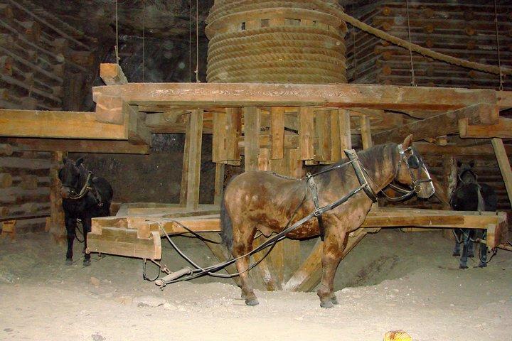 Wieliczka Salt Mine guidad tur från Krakow med privata överföringar