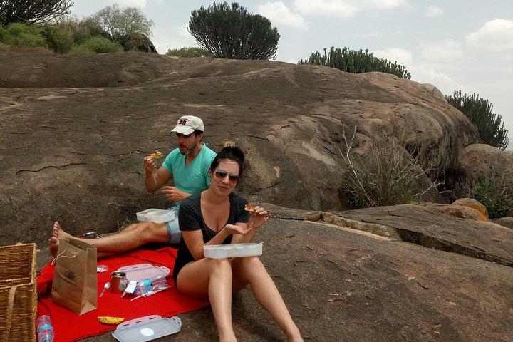 godsonadventures-plains2peaks Ltd