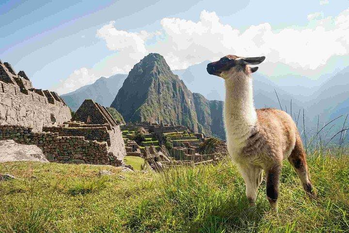 4. Tag: Cusco || MachuPicchu || Regenbogenberg || Stadtrundfahrt ||