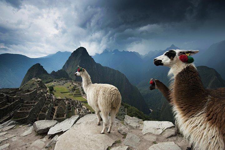 Excursion to MachuPicchu from Cusco with lunch | Private Service|