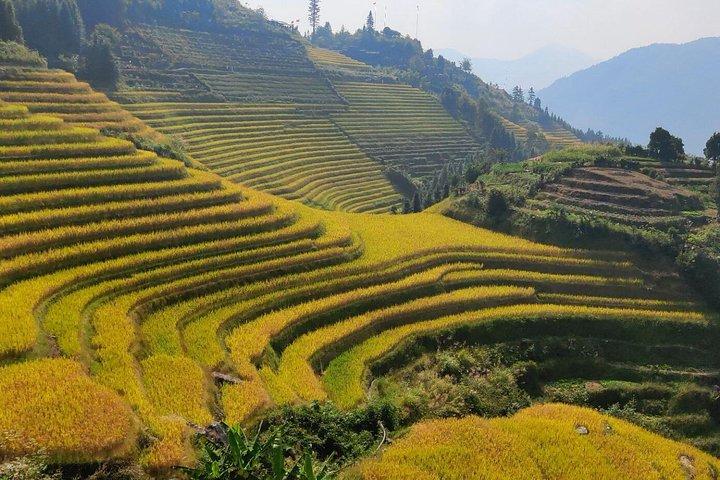 Tour giornaliero di Guilin Longji Rice Terraces e Four Lakes Night Cruise