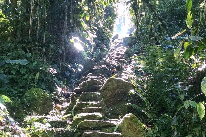 Lost City 4 giorni - 3 notti