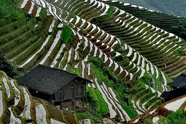 Guilin Longji risterrasser og Yangshuo Liusanjie Light Show Day Tour