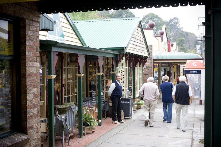 Excursão privada de Dandenong Ranges, incluindo Puffing Billy