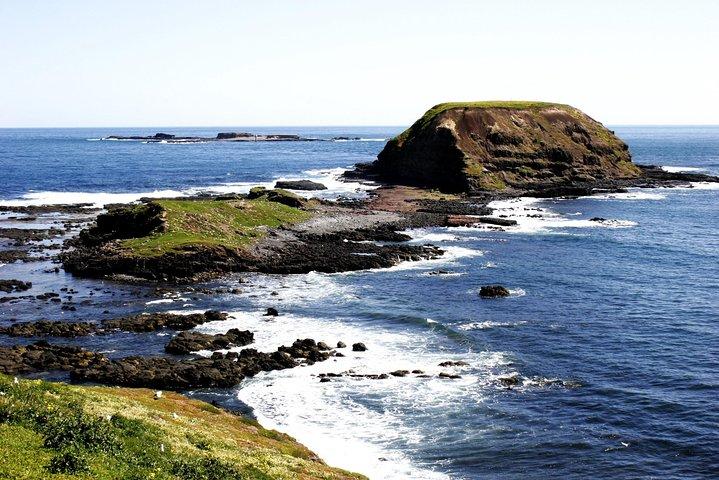 Private Phillip Island Penguin Parade Tour