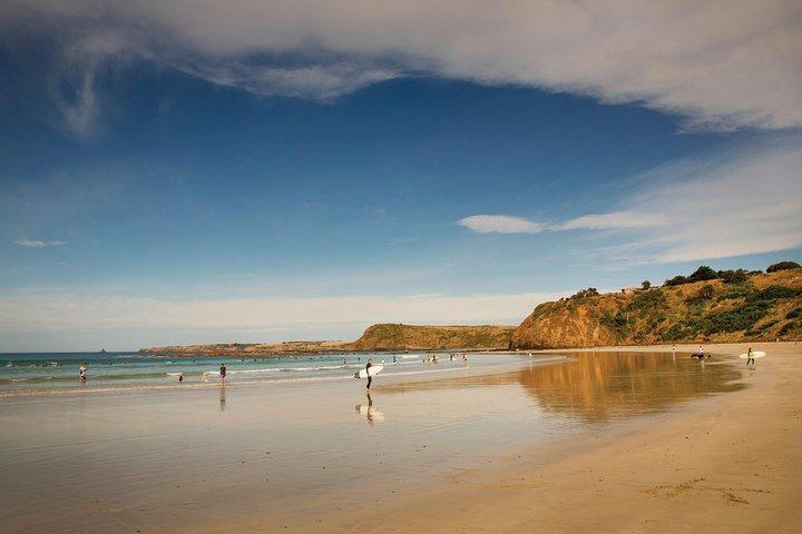 Private Phillip Island Penguin Parade Tour