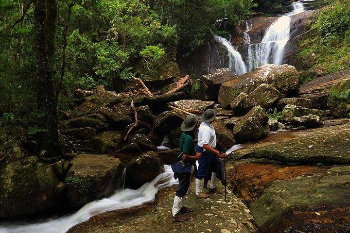Sri Lanka Sinharaja Rain Forest Tour com transporte