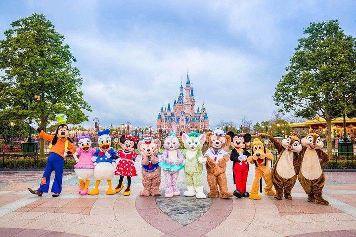 上海ディズニーランドの 1 デー パスとプライベート送迎パッケージ