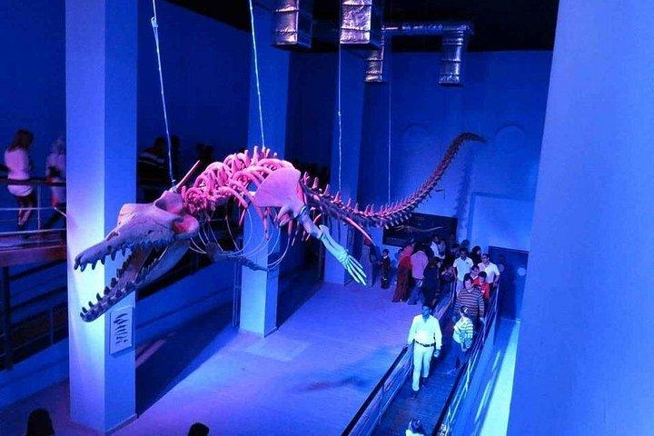 ハルガダ大水族館の入場チケットとツアー