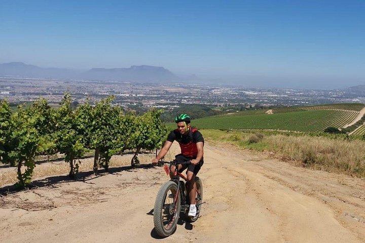 Kapstadt: E-Bike Wineland Tour halbtags