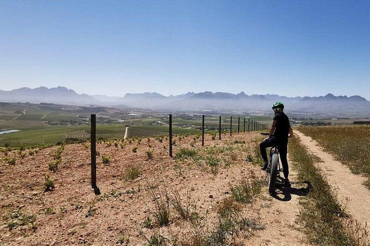 Kapstadt: E-Bike Wineland Tour halbtags
