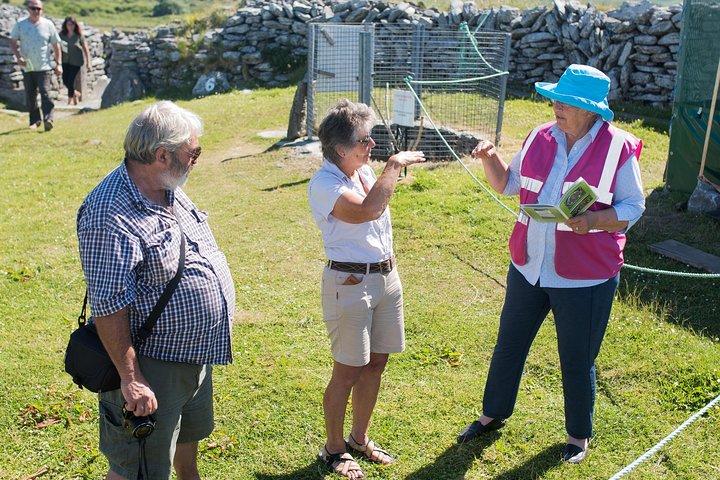 Caherconnell Fort & Sheepdog Manifestações