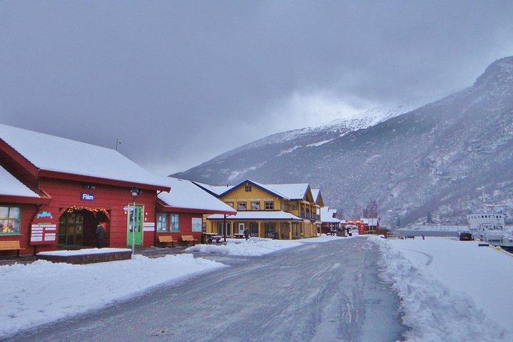 プライベートツアー: ノルウェーのスケッチ , Gudvangen, Flåm, Stegastein