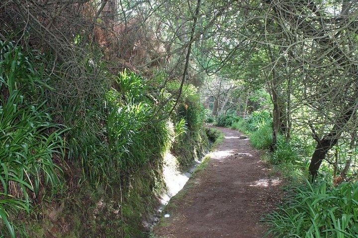 Vale Paraíso - Rochão (Half Day Walk)
