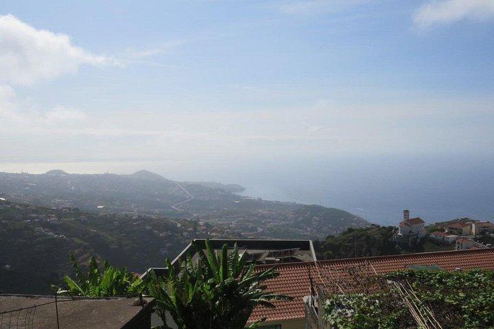 Rota do Vinho - Wine Route (Half Day Walk)
