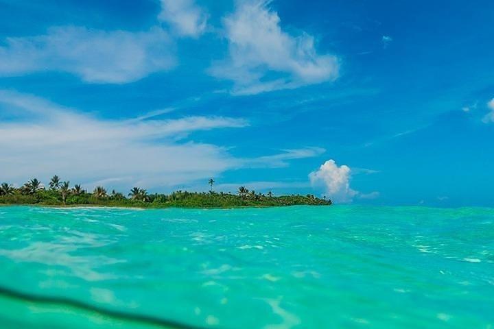 カンクンからの交通機関を利用したシアン カーン生物圏の素晴らしいツアー !