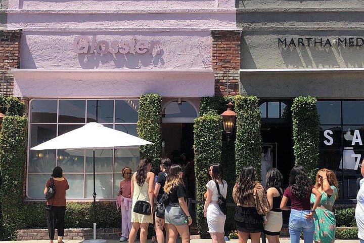 Los Angeles Instagram Experience Half-Day Private Tour