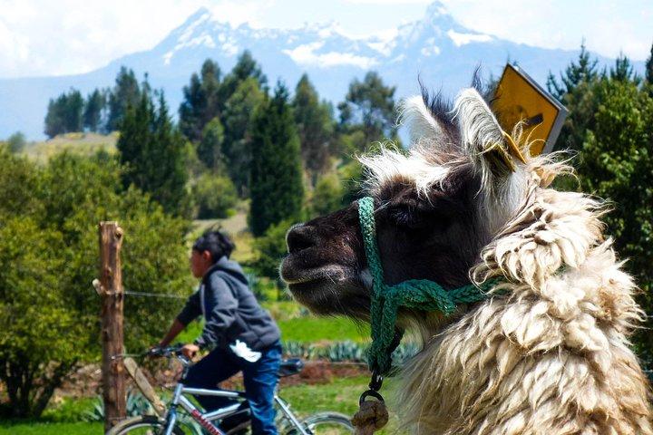 Top Ten Wonders of Ecuador Tour vanuit Quito eindigt in Cuenca