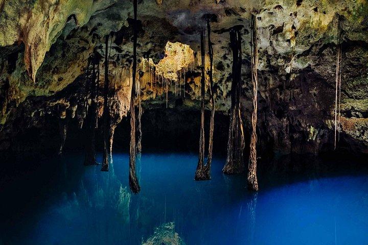 Unforgettable Xenotes Tour: Discover and Explore This Hidden Gem!