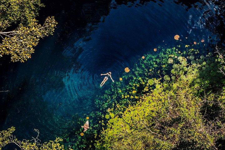 Unforgettable Xenotes Tour: Discover and Explore This Hidden Gem!