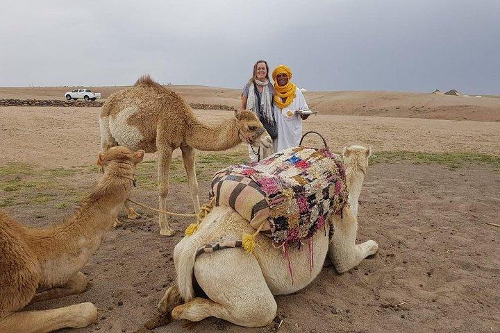 Marrakech: Atlas Mountains, Valleys & Waterfalls Day Trip