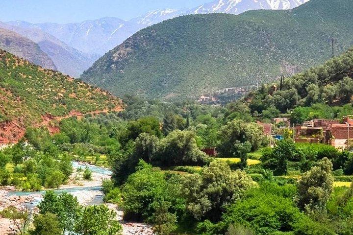 共有グループAtlas Berber Life Ourika Valley One Day