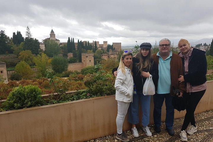 Private Alhambra Highlights Tour Including the Nasrid Palaces