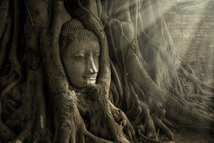 Privat tur: Ayutthaya historiske templer og sommerpalads