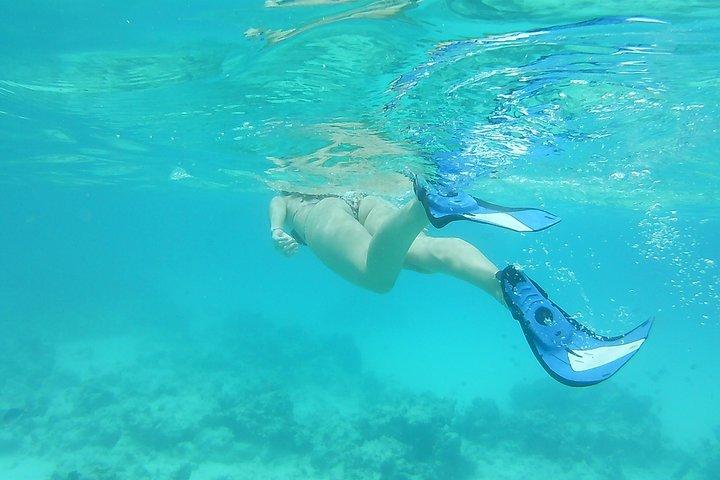 Snorkling av Pongwe Coral Reef