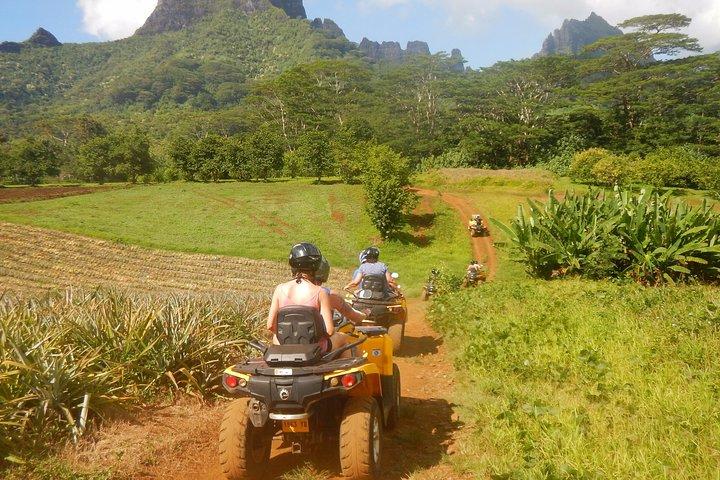 Kleine Quad Tour 2h30 Quad Ausflug in Moorea (Ein- oder Zweisitzer)