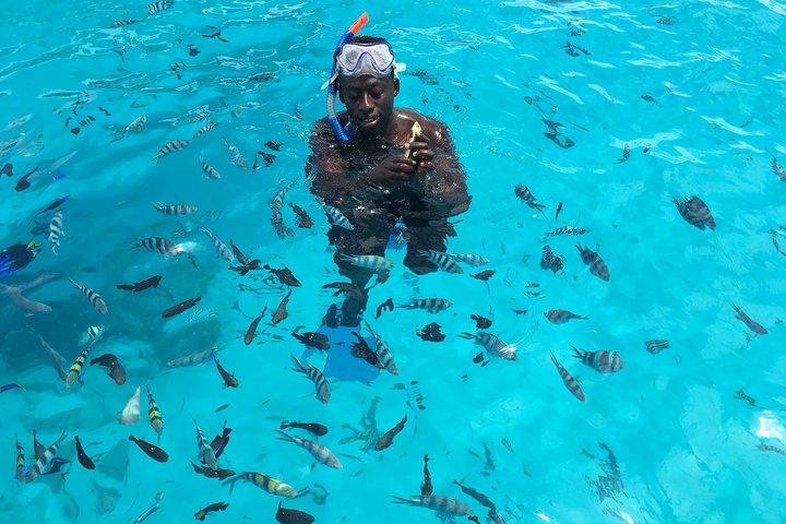 Pongwe Coral reef Snorkelen