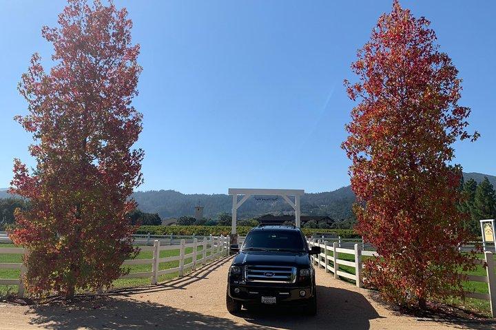 Tour Privado del Vino Napa o Sonoma 6 horas hasta 6 personas